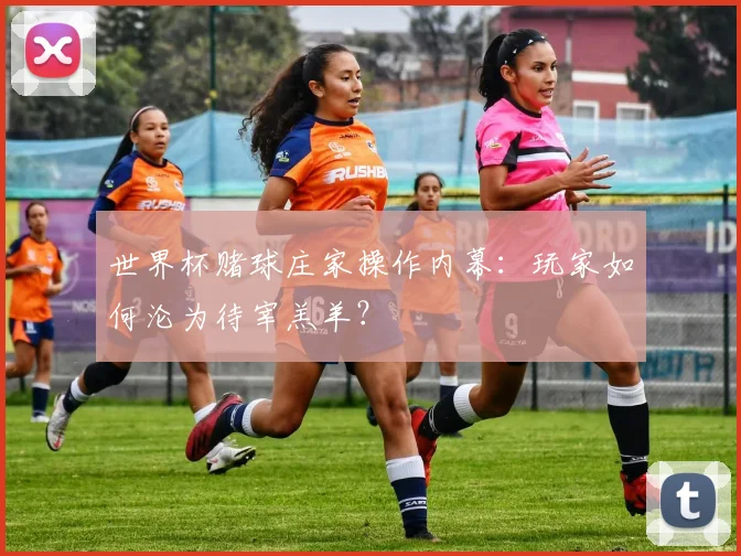 世界杯赌球庄家操作内幕:玩家如何沦为待宰羔羊?