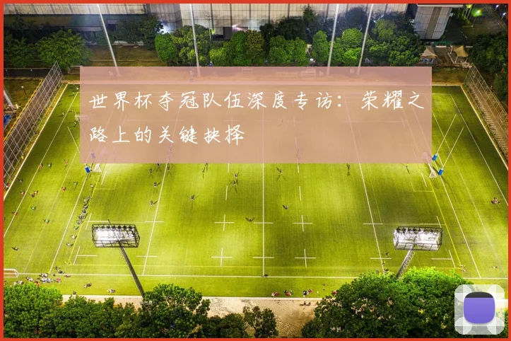 世界杯夺冠队伍深度专访：荣耀之路上的关键抉择