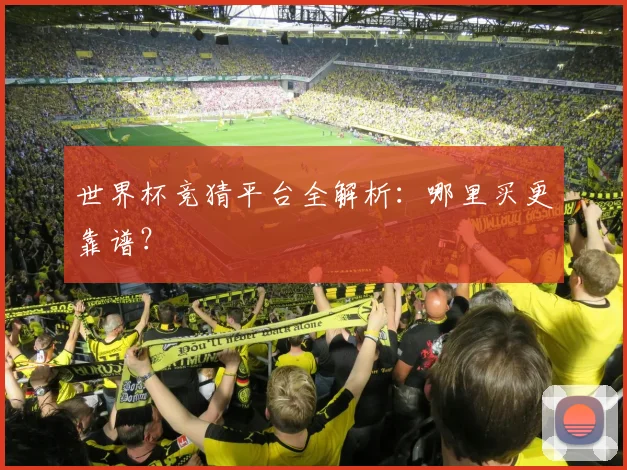 世界杯竞猜平台全解析：哪里买更靠谱？