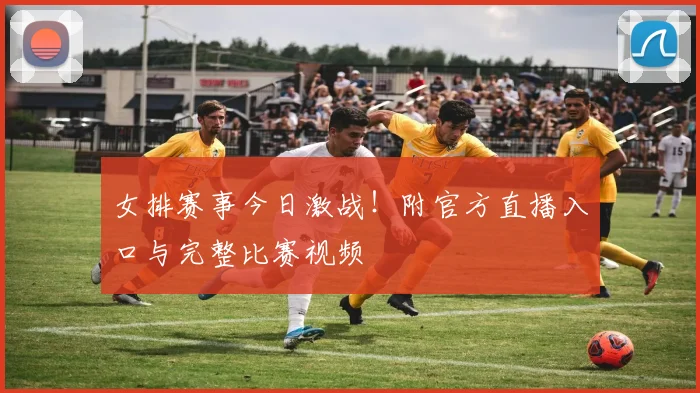女排赛事今日激战!附官方直播入口与完整比赛视频